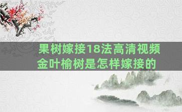 果树嫁接18法高清视频 金叶榆树是怎样嫁接的